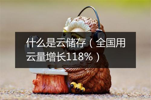 什么是云储存（全国用云量增长118%）