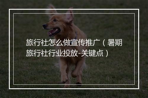 旅行社怎么做宣传推广（暑期旅行社行业投放-关键点）