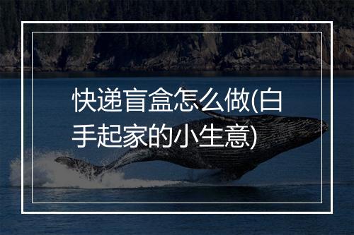 快递盲盒怎么做(白手起家的小生意)