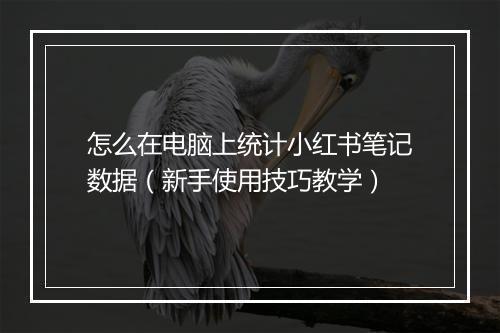 怎么在电脑上统计小红书笔记数据（新手使用技巧教学）