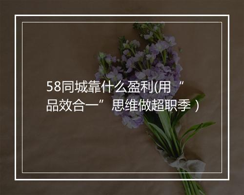 58同城靠什么盈利(用“品效合一”思维做超职季）