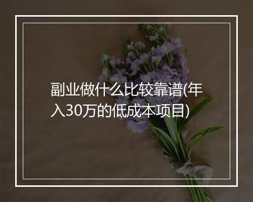 副业做什么比较靠谱(年入30万的低成本项目)