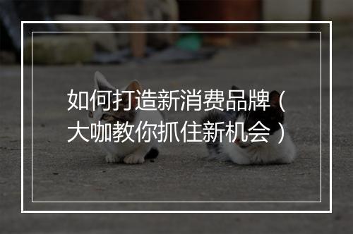 如何打造新消费品牌（大咖教你抓住新机会）