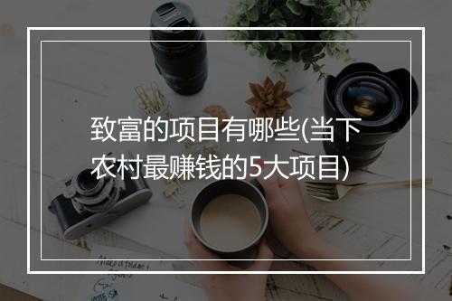 致富的项目有哪些(当下农村最赚钱的5大项目)
