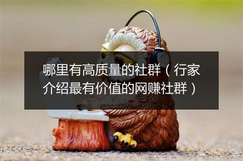 哪里有高质量的社群（行家介绍最有价值的网赚社群）