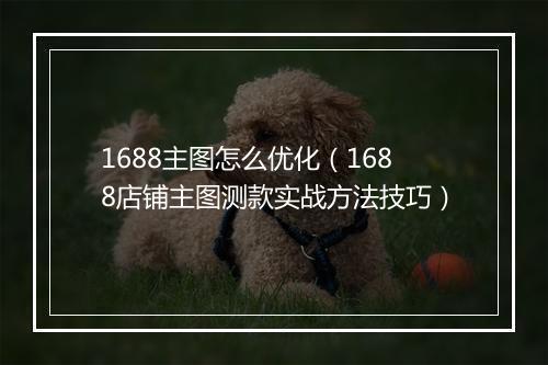 1688主图怎么优化（1688店铺主图测款实战方法技巧）