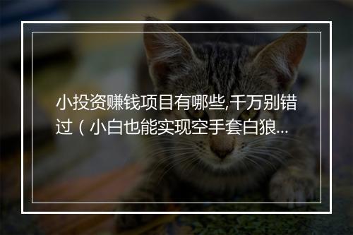 小投资赚钱项目有哪些,千万别错过（小白也能实现空手套白狼）