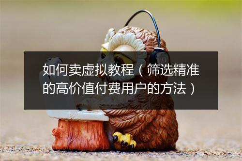 如何卖虚拟教程（筛选精准的高价值付费用户的方法）