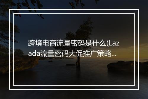 跨境电商流量密码是什么(Lazada流量密码大促推广策略解析)
