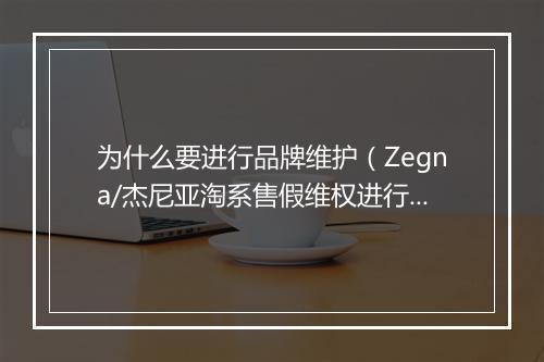 为什么要进行品牌维护（Zegna/杰尼亚淘系售假维权进行中）