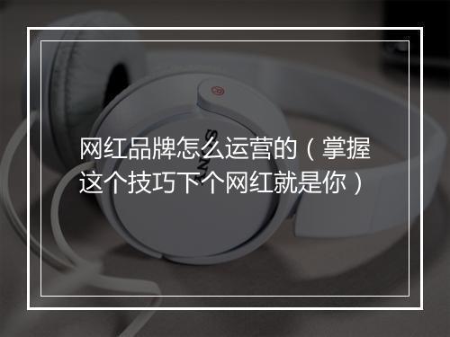 网红品牌怎么运营的（掌握这个技巧下个网红就是你）