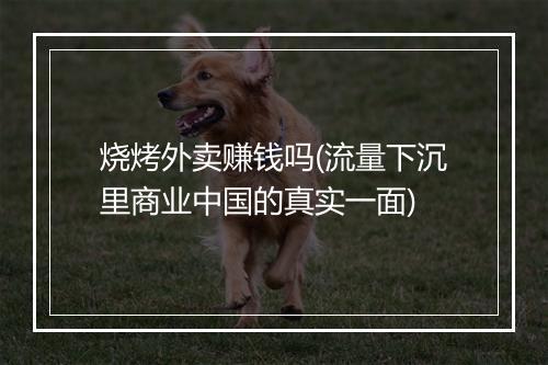烧烤外卖赚钱吗(流量下沉里商业中国的真实一面)