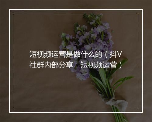 短视频运营是做什么的（抖V社群内部分享：短视频运营）