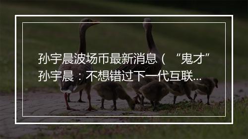 孙宇晨波场币最新消息（“鬼才”孙宇晨：不想错过下一代互联网）