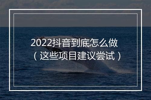 2022抖音到底怎么做（这些项目建议尝试）