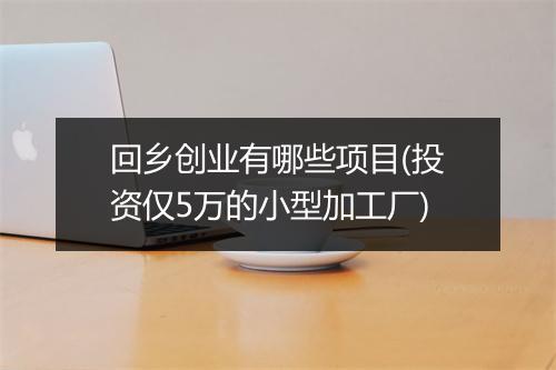 回乡创业有哪些项目(投资仅5万的小型加工厂)