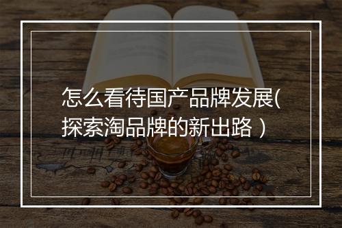 怎么看待国产品牌发展(探索淘品牌的新出路）