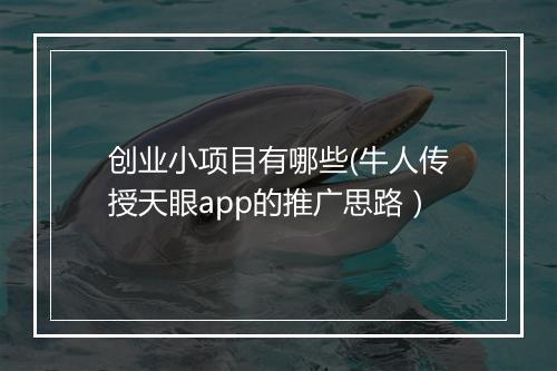 创业小项目有哪些(牛人传授天眼app的推广思路）