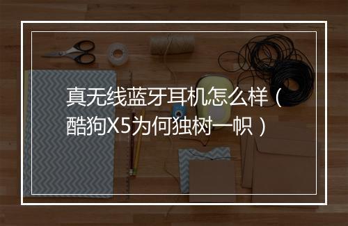 真无线蓝牙耳机怎么样（酷狗X5为何独树一帜）