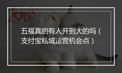 五福真的有人开到大的吗（支付宝私域运营机会点）
