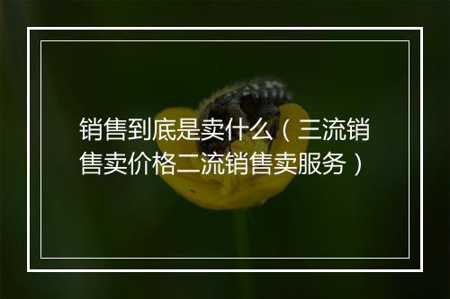 销售到底是卖什么（三流销售卖价格二流销售卖服务）