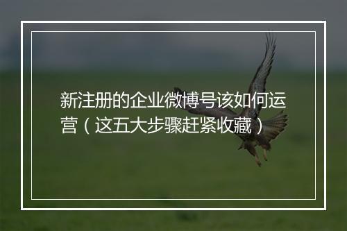 新注册的企业微博号该如何运营（这五大步骤赶紧收藏）