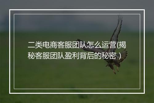 二类电商客服团队怎么运营(揭秘客服团队盈利背后的秘密）