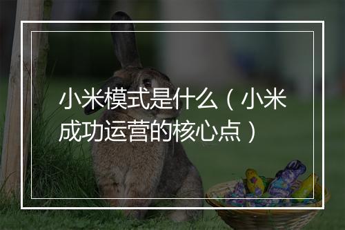 小米模式是什么（小米成功运营的核心点）