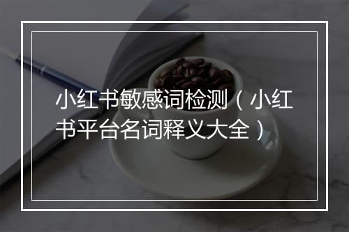 小红书敏感词检测（小红书平台名词释义大全）