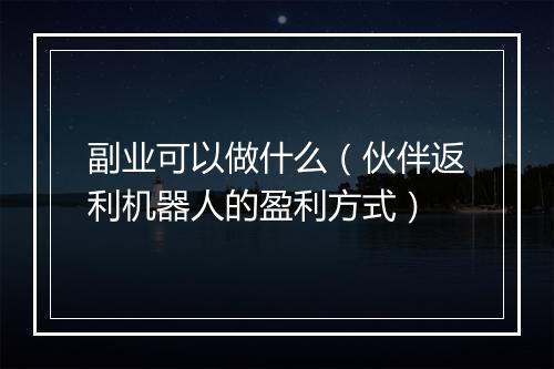 副业可以做什么（伙伴返利机器人的盈利方式）
