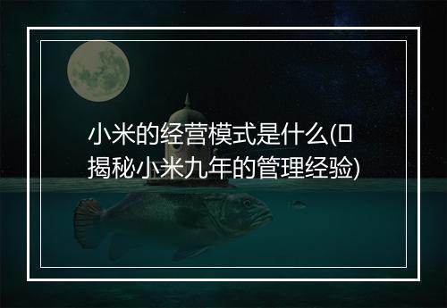 小米的经营模式是什么(​揭秘小米九年的管理经验)