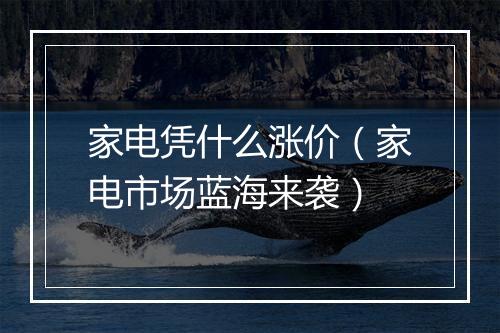家电凭什么涨价（家电市场蓝海来袭）