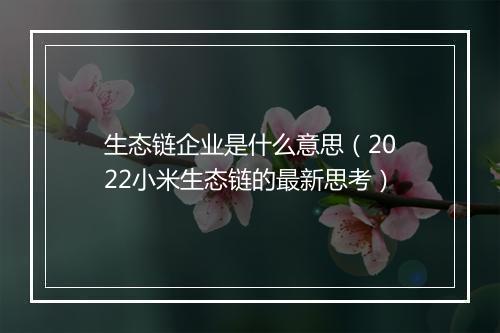生态链企业是什么意思（2022小米生态链的最新思考）