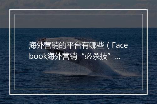 海外营销的平台有哪些（Facebook海外营销“必杀技”错过后悔）