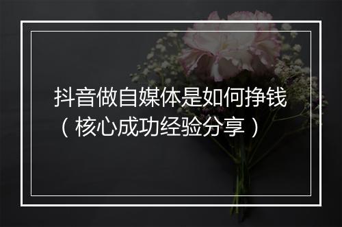 抖音做自媒体是如何挣钱（核心成功经验分享）