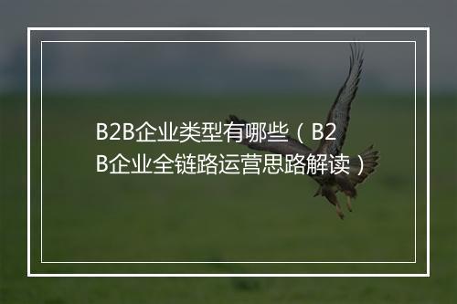B2B企业类型有哪些（B2B企业全链路运营思路解读）