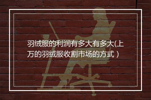 羽绒服的利润有多大有多大(上万的羽绒服收割市场的方式）