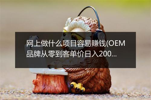 网上做什么项目容易赚钱(OEM品牌从零到客单价日入20000+)