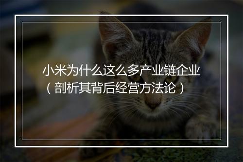 小米为什么这么多产业链企业（剖析其背后经营方法论）