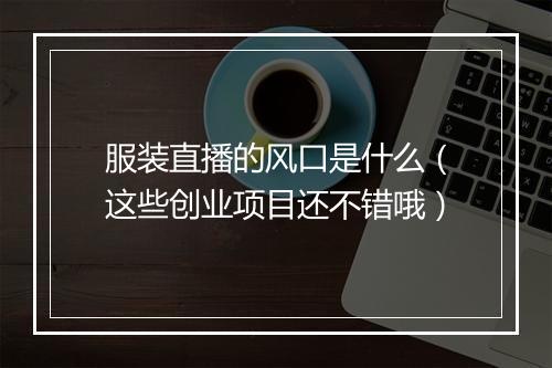 服装直播的风口是什么（这些创业项目还不错哦）