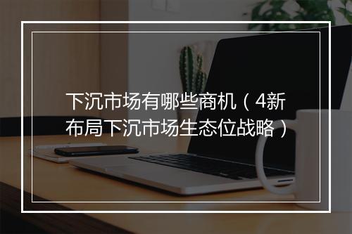 下沉市场有哪些商机（4新布局下沉市场生态位战略）