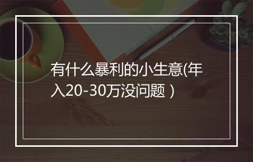 有什么暴利的小生意(年入20-30万没问题）