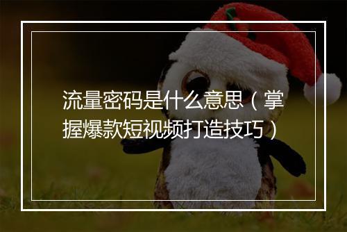 流量密码是什么意思（掌握爆款短视频打造技巧）