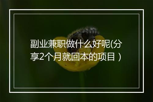 副业兼职做什么好呢(分享2个月就回本的项目）