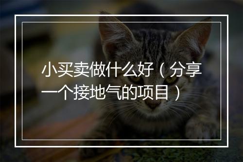 小买卖做什么好（分享一个接地气的项目）