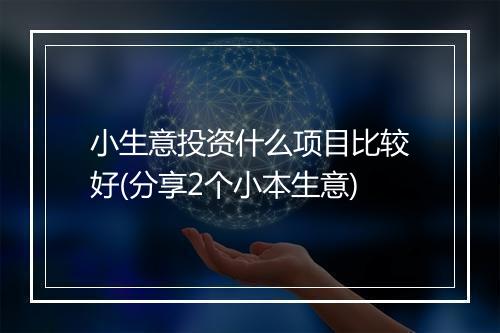 小生意投资什么项目比较好(分享2个小本生意)