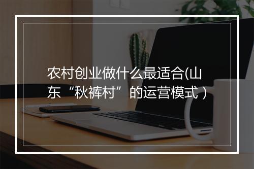 农村创业做什么最适合(山东“秋裤村”的运营模式）