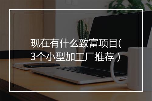 现在有什么致富项目(3个小型加工厂推荐）