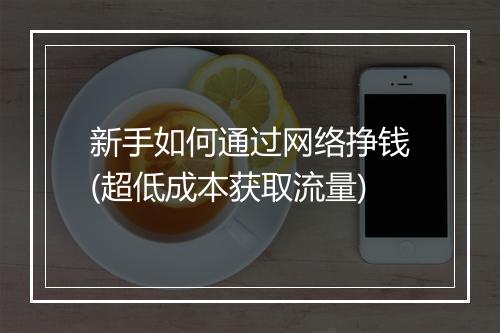 新手如何通过网络挣钱(超低成本获取流量)