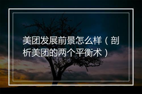 美团发展前景怎么样（剖析美团的两个平衡术）